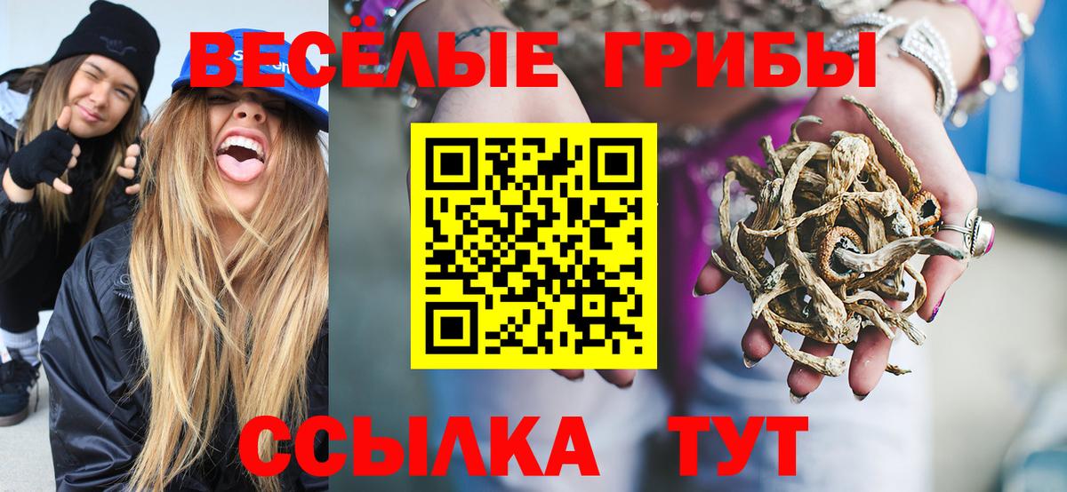 Новокубанск  Псилоцибиновые грибы Magic Shrooms  Вход с VPN 